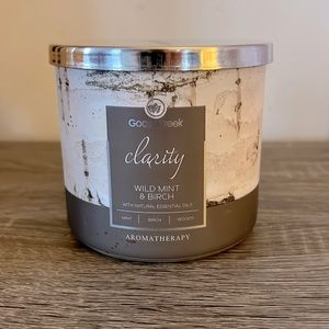 Goose Creek- Wild Mint & Birch Candle 🕯️